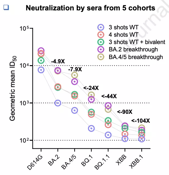 针对 BQ 系突变株的中和活性分别降低 13 至 81 倍不等，针对 XBB 系突变株的下降则更为明显，为 66 至 155  ...